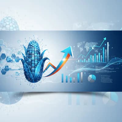 Corn Starch: Versatile Ingredient Transforming Industries To