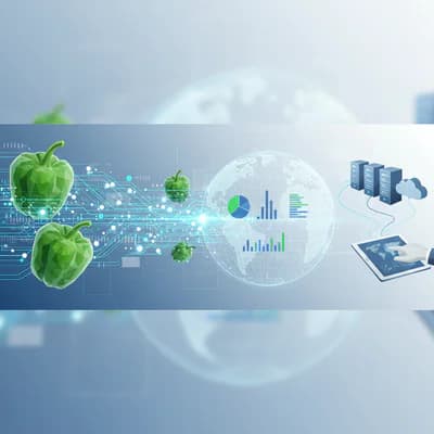 IQF Green Pepper: Revolutionizing Freshness in Food Industry